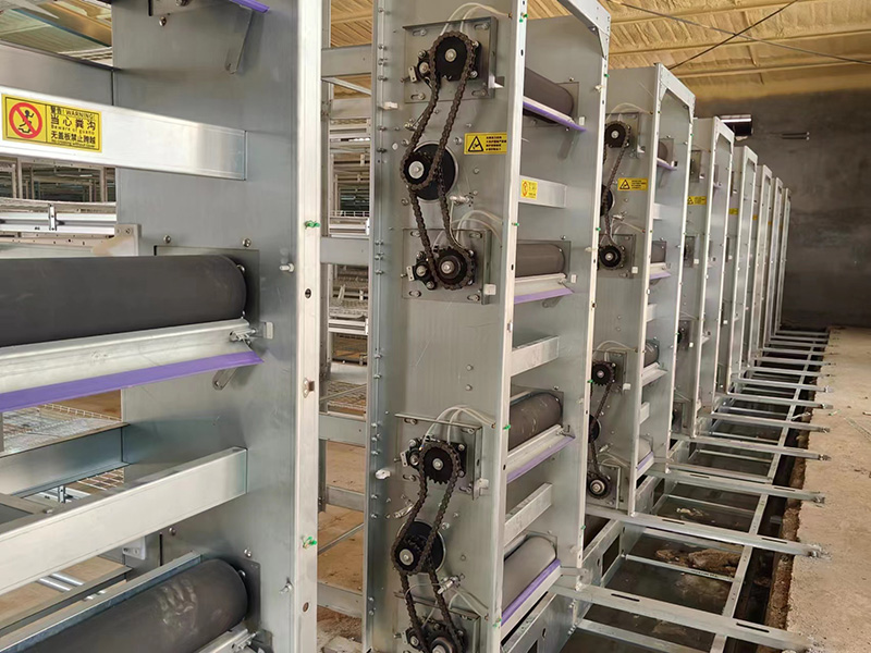 肉鸡笼安装现场