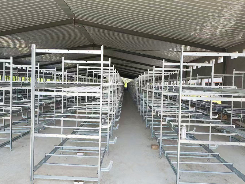 层叠式肉鸡笼养设备