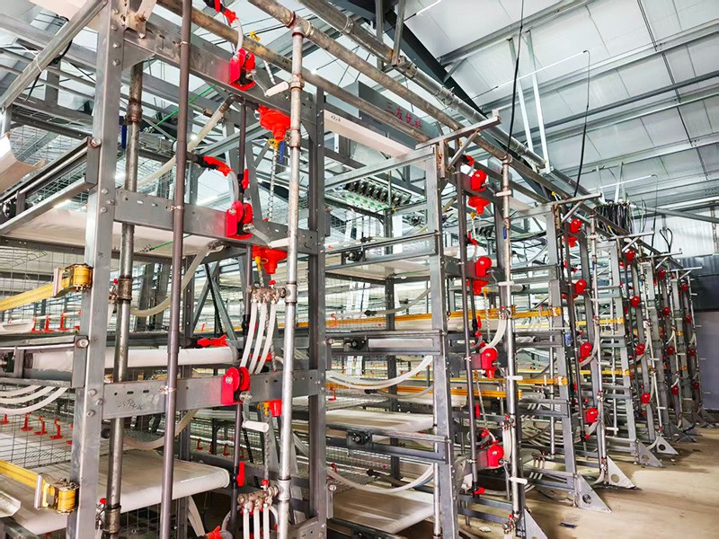 层叠式肉鸡笼养设备