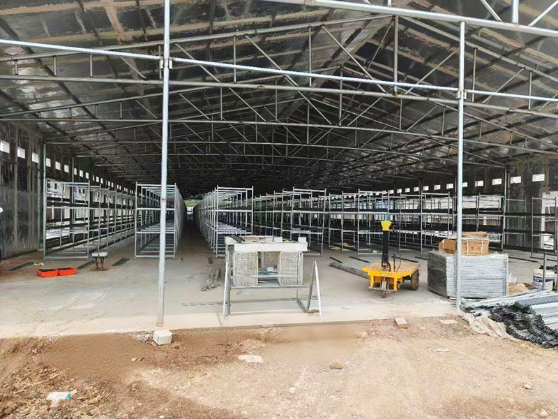 层叠式肉鸡笼养设备