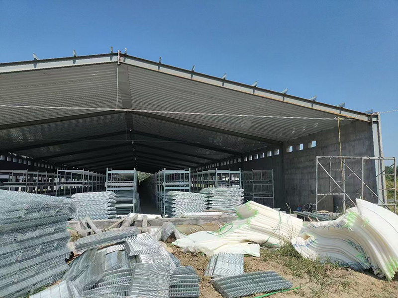 层叠式肉鸡笼养设备