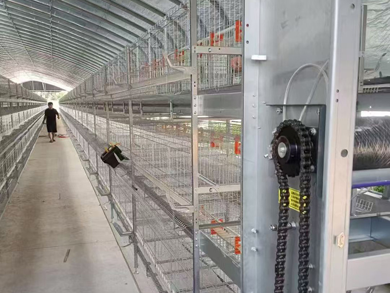 层叠式肉鸡笼养设备