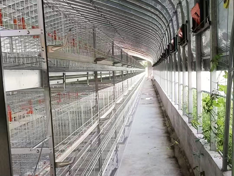 层叠式肉鸡笼养设备