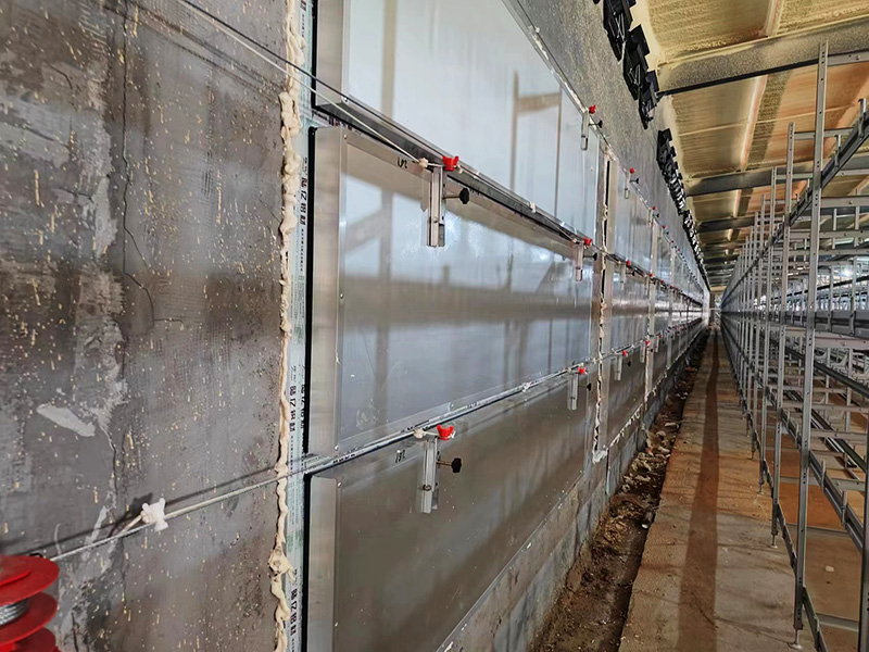 肉鸡笼现场安装