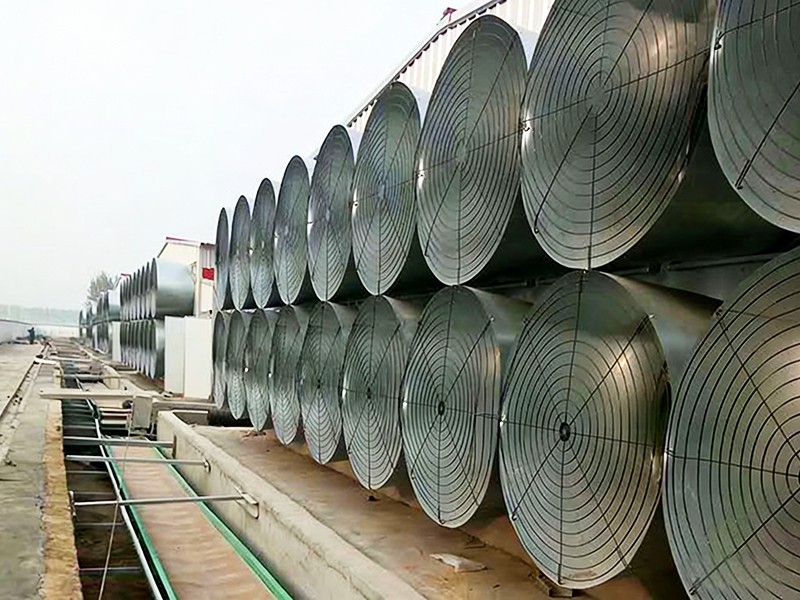 孟加拉国兄弟集团